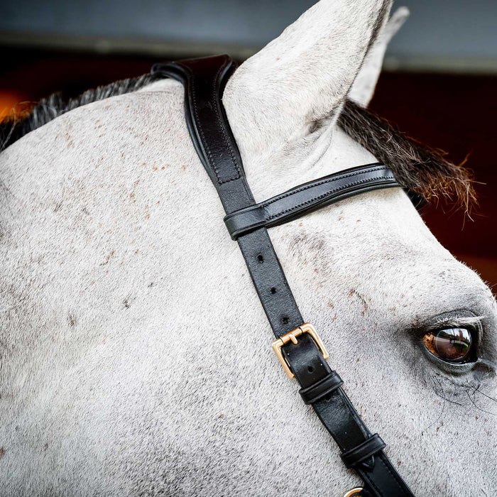 Micklem 2.0 Multi Bridle for Horses – Adjustable Bit Straps, Padded Leather, Pressure - Relief Design - FO50G - Dark Havana - Full - 8