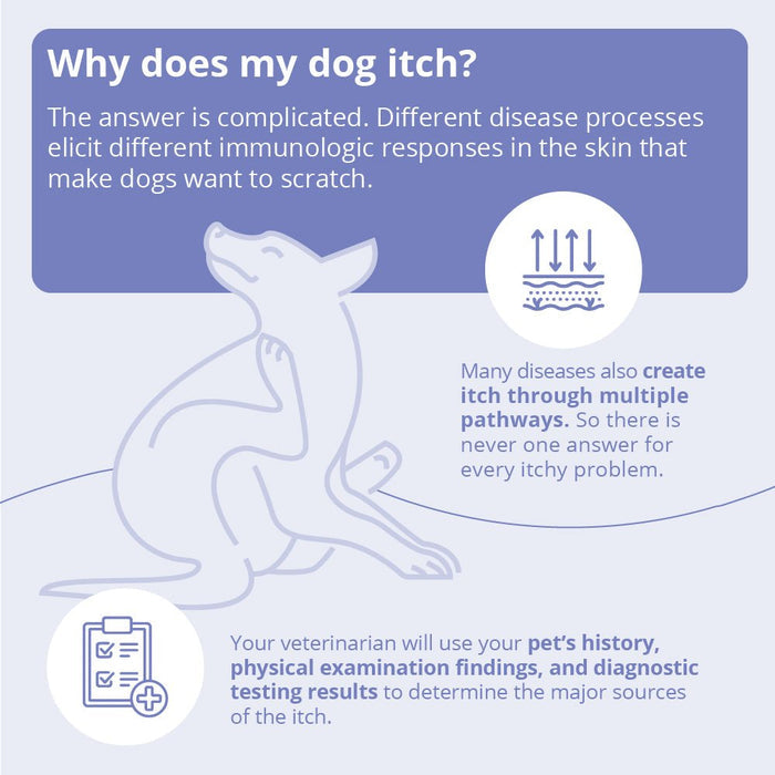 Miconahex+Triz Medicated Antimicrobial Spray Conditioner for Dogs, Cats, and Horses - 013DP-80082 - 8 oz - 7