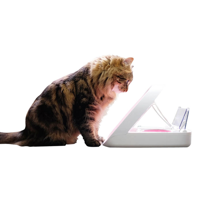 Microchip Pet Feeder - 010MER-39132 - 3