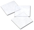 Microscope Coverslip Plastic, 100 ct - 014JRJ-336P - Clear - Microscope Plastic Cover Slips - 1