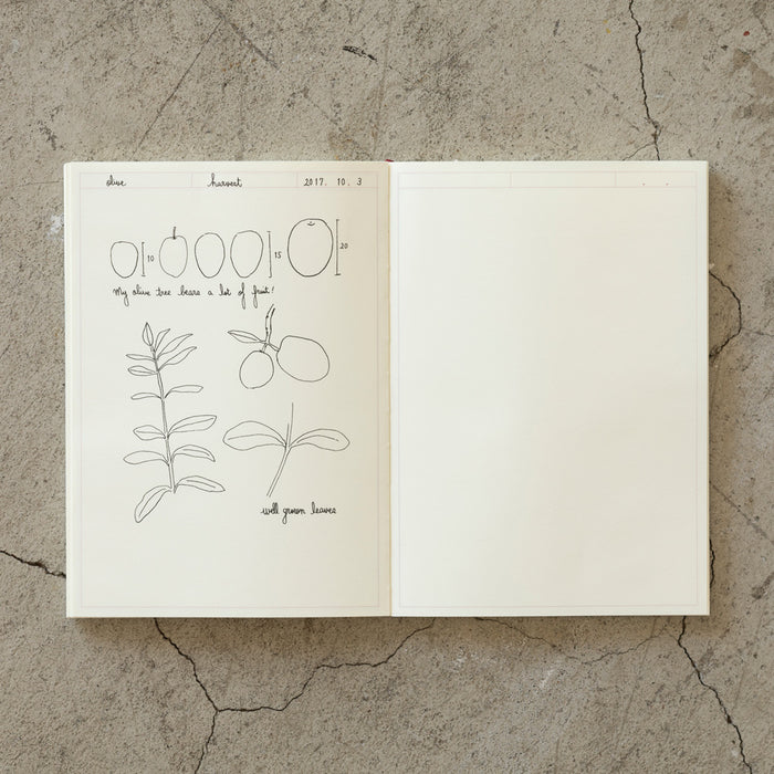 Midori MD Diary Notebook A5 | Frame