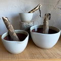 Motoshige Mortar Bowl & Pestle | White