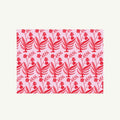 Mr. Boddington’s Mumbai Winter Pink & Red | Set of 6