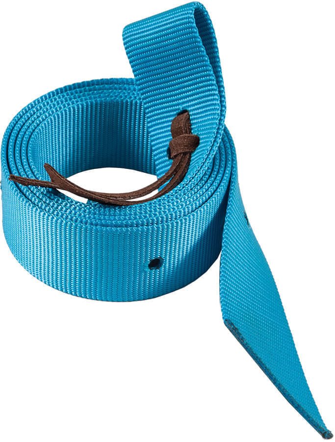 Mustang Neonz 6 Foot Nylon Tie Strap with Leather Tie - 121XH - Turquoise - 2