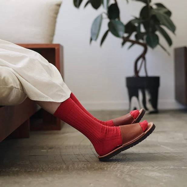 Nishiguchi Kutsushita Silk Cotton Ribbed Socks | Boston Brick