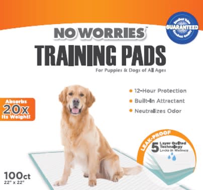 No Worries 12 - Hour Dog Training Pads, 100 ct, 22" x 22" - 39YC - 22"x22" - 1