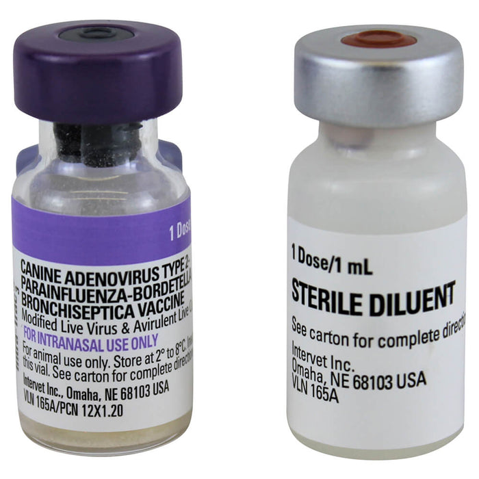 Nobivac Intra - Trac 3 Intranasal Dog Vaccine - SHVA - 25 x 1 Dose - 5