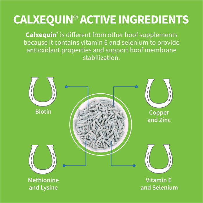 Nutramax Cosequin Calxequin Pellets Daily Hoof Support for Horses, 1260 Grams - 060NM-3000250 - 4