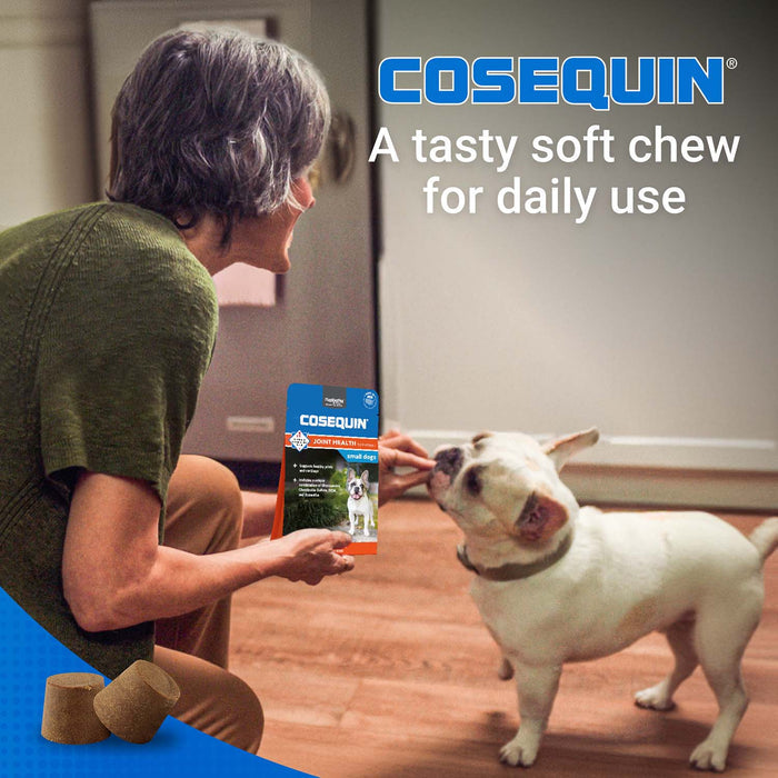 Nutramax Cosequin Mini Plus MSM Professional Line, 45 Soft Chews - 015NM-CQSC45-MSMMP - Brown - 4
