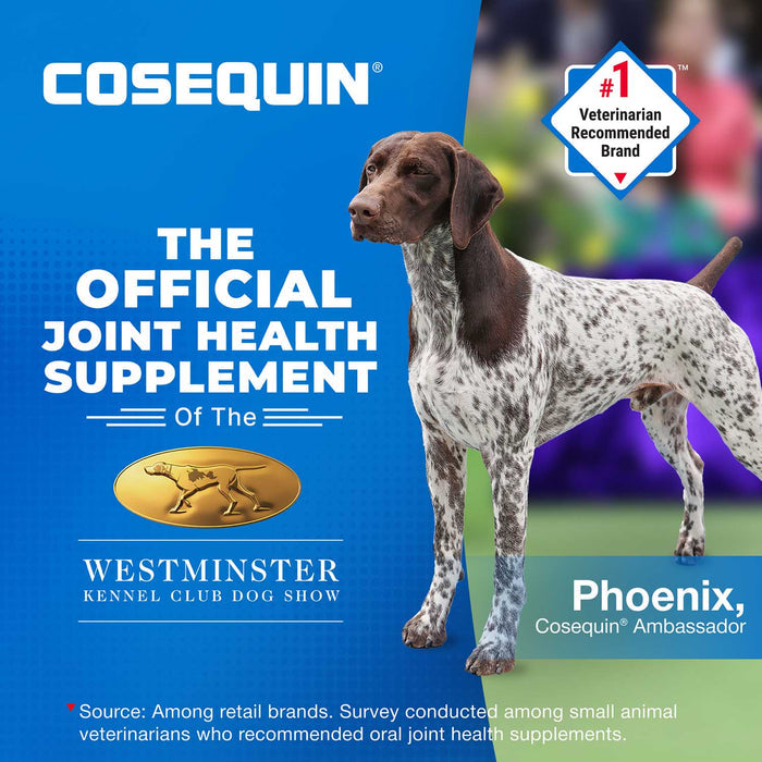 Nutramax Cosequin Mini Plus MSM Professional Line, 45 Soft Chews - 015NM-CQSC45-MSMMP - Brown - 6