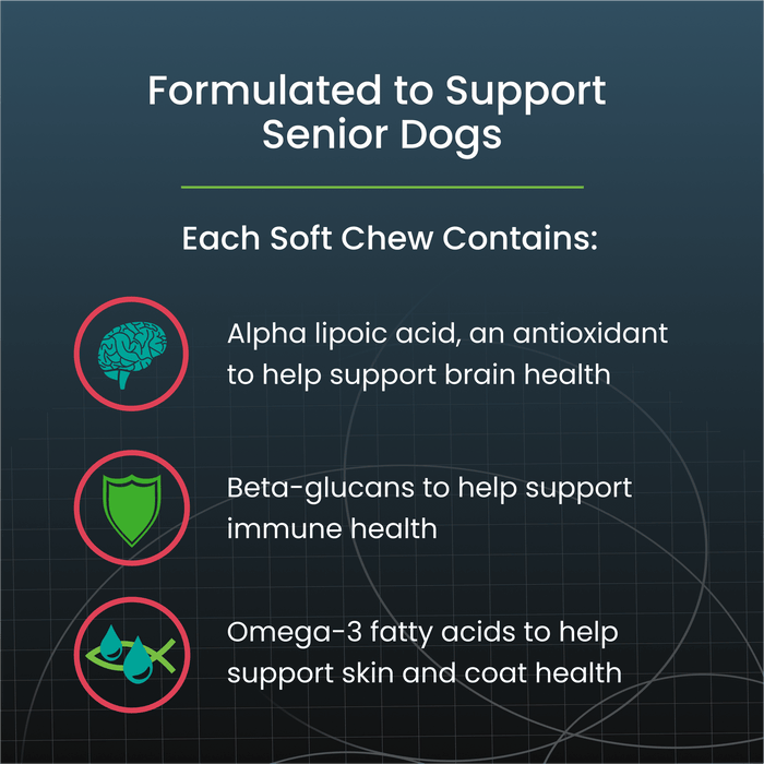 Nutramax Dasuquin Senior Joint Health Supplement for Dogs, 84 Soft Chews - 015NM-3000216 - Large - Over 60 lbs - 84 Soft Chews - 6