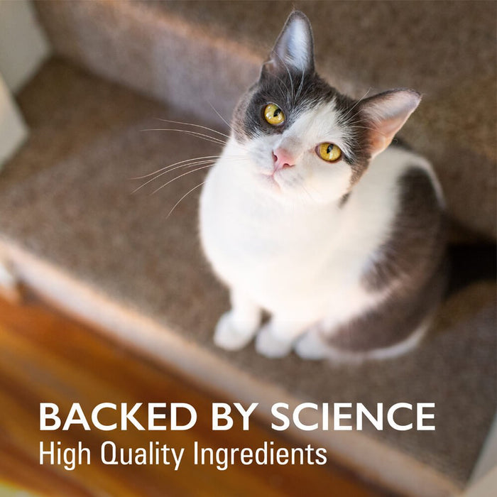 Nutramax Imuquin Immune Health for Cats, 30 Packets - 015NM-3000071-2 - 2 Pack - 7