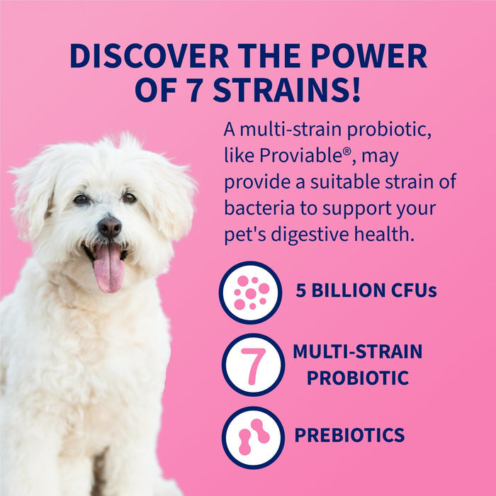 Nutramax Proviable - DC Capsules for Dogs & Cats - 015NM-30 - 30 ct - Single Pack - 4