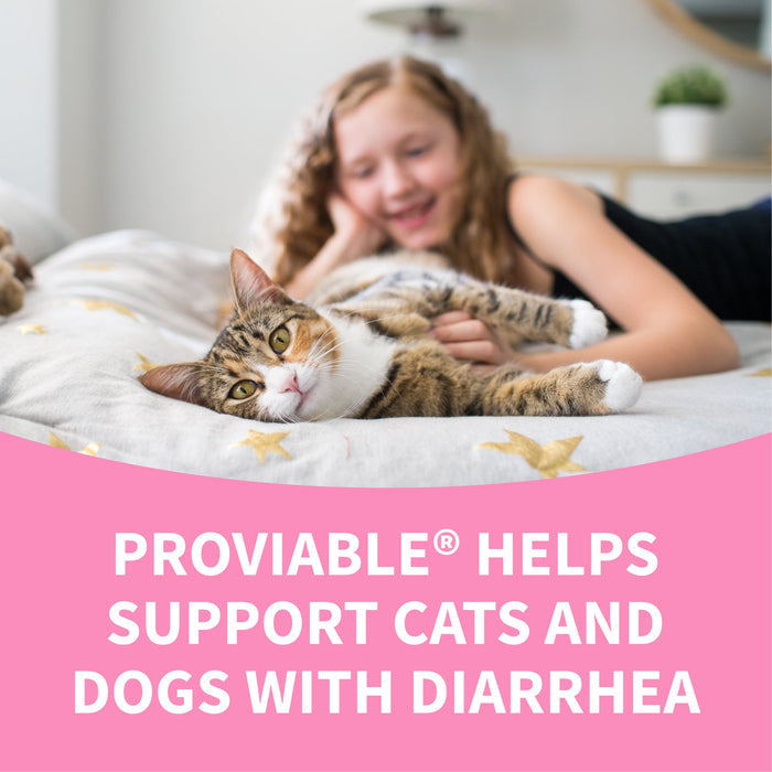 Nutramax Proviable - DC Capsules for Dogs & Cats - 015NM-30 - 30 ct - Single Pack - 7