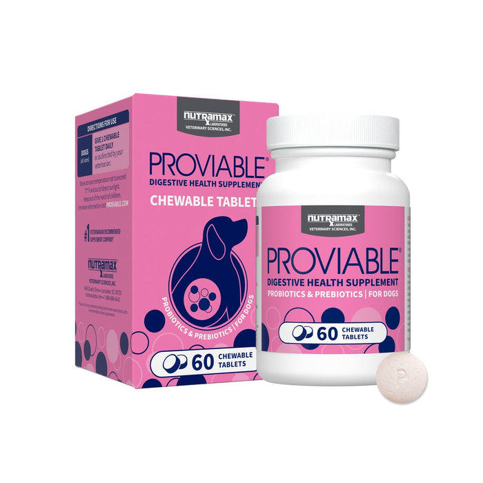 Nutramax Proviable - DC Chew Tablets for Dogs, 60 ct - 015NM-P60 - 1