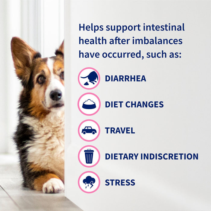 Nutramax Proviable - DC Chew Tablets for Dogs, 60 ct - 015NM-P60 - 4