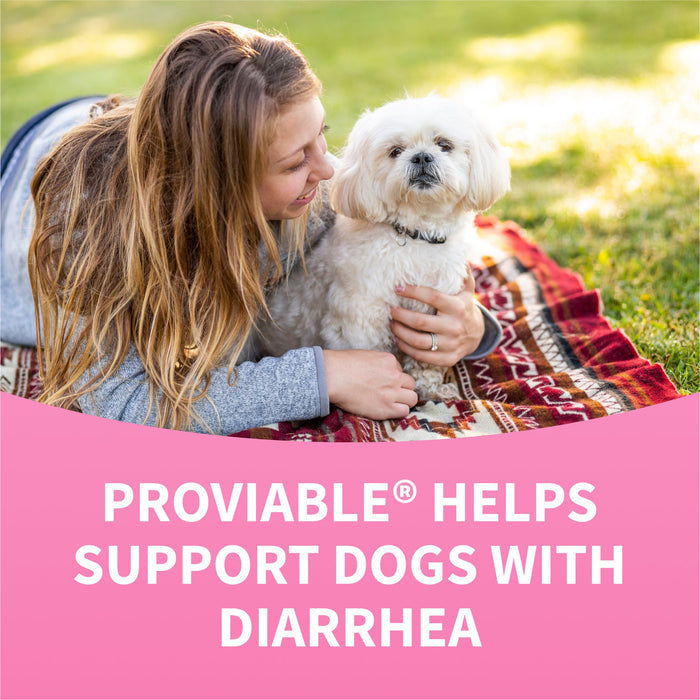 Nutramax Proviable - DC Chew Tablets for Dogs, 60 ct - 015NM-P60 - 8