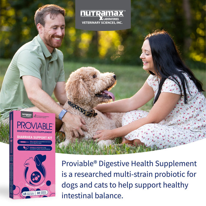 Nutramax Proviable - KP/DC Kit for Dogs and Cats, 10 Capsules - 015NM-15ML - Cats & Small Dogs - 15 mL Paste - 1 ct - 3