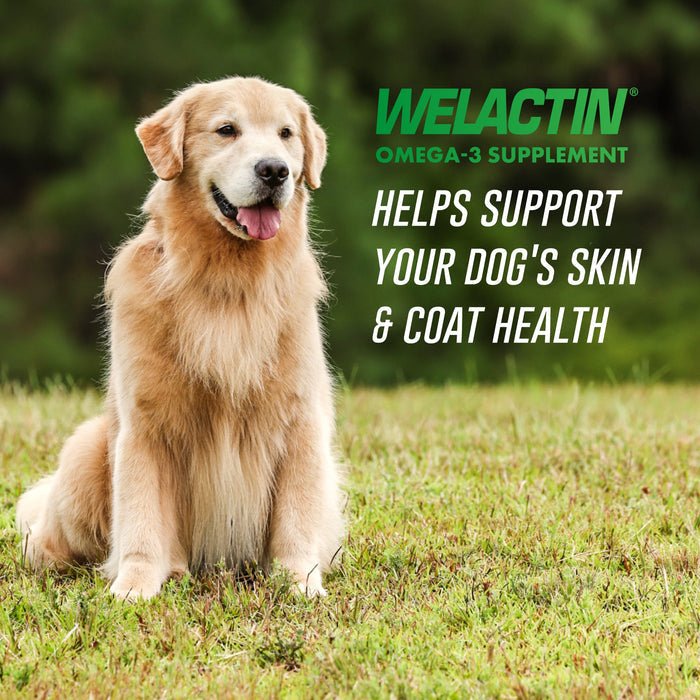 Nutramax Welactin Canine Softgels, 120 count - 015NM-120 - Single Pack - 2
