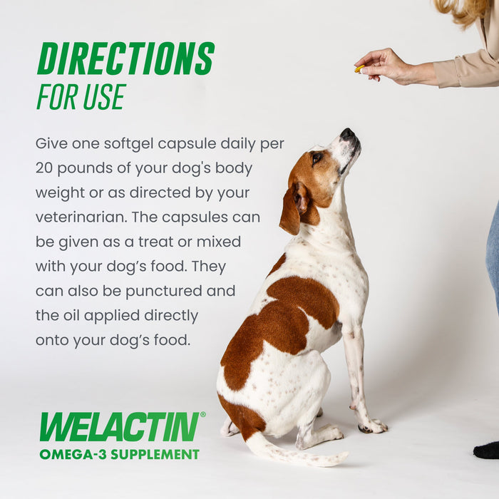Nutramax Welactin Canine Softgels, 120 count - 015NM-120 - Single Pack - 7