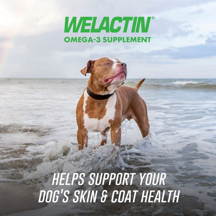 Nutramax Welactin Daily Omega - 3 Supplement For Dogs, 60 Soft Chews - 015NM-300046 - 60 Soft Chews - 2