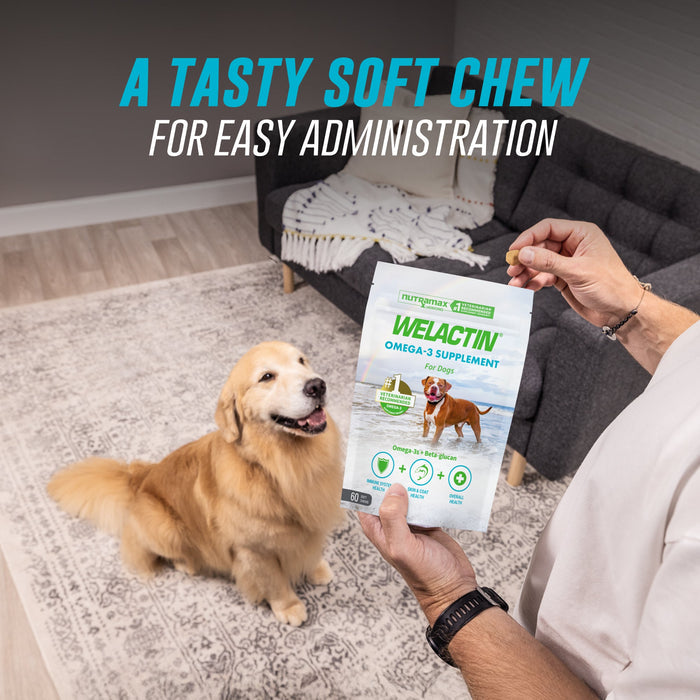 Nutramax Welactin Daily Omega - 3 Supplement For Dogs, 60 Soft Chews - 015NM-300046 - 60 Soft Chews - 4