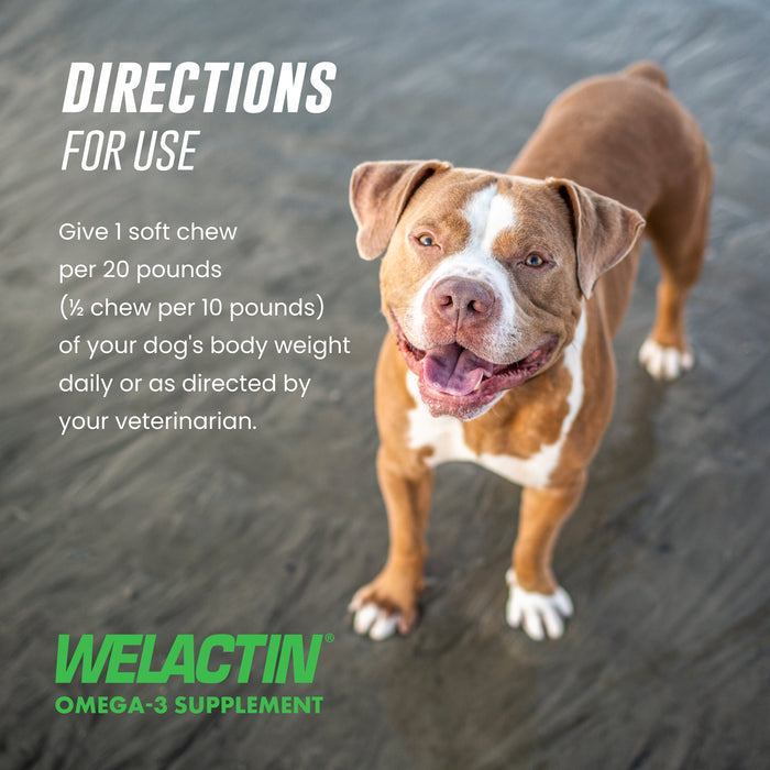 Nutramax Welactin Daily Omega - 3 Supplement For Dogs, 60 Soft Chews - 015NM-300046 - 60 Soft Chews - 7