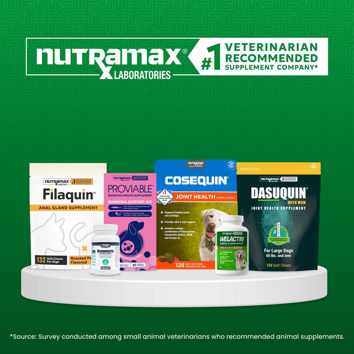 Nutramax Welactin Daily Omega - 3 Supplement For Dogs, 60 Soft Chews - 015NM-300046 - 60 Soft Chews - 8
