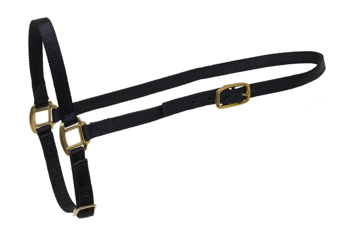 Nylon Grooming Halter - DY5S - 2