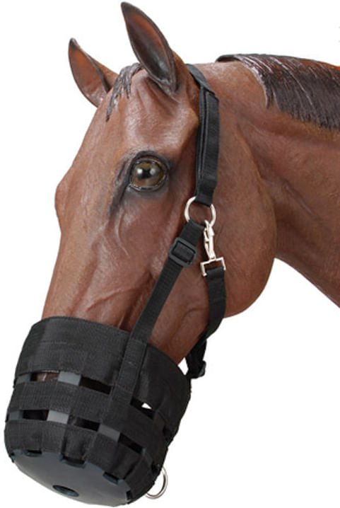 Nylon Horse Grazing Muzzle - JTIN5 - Miniature Grazing Muzzle, Black - 5