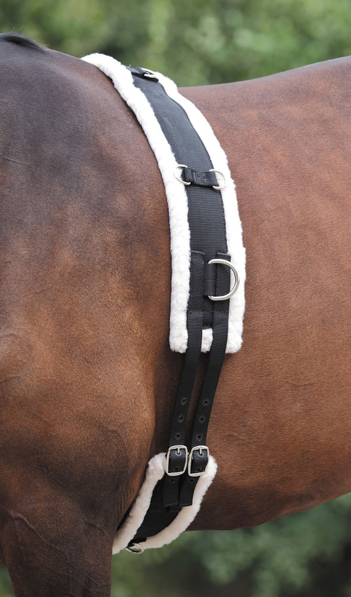 Nylon Lunging Surcingle W/ Fleece Padding - SEPX9 - Cob - 1