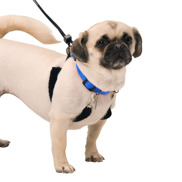 Original Sporn Training Halter, Blue - 3N1X - Medium - 4