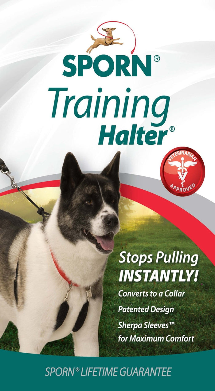 Original Sporn Training Halter, Blue - 3N1Z - Large - 7