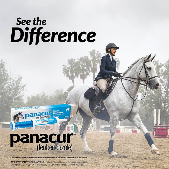 Panacur Equine Fenbendazole Dewormer Paste, 25 g - I6PL - Single Pack - 2