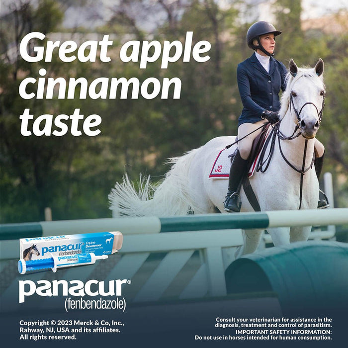 Panacur Equine Fenbendazole Dewormer Paste, 25 g - I6PL - Single Pack - 4