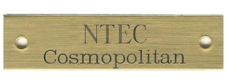 Personalized Engraved Beveled Brass Halter Plates - DYAAZ - 4 - 1/4" x 3/4" Beveled Brass Halter Plate - 4