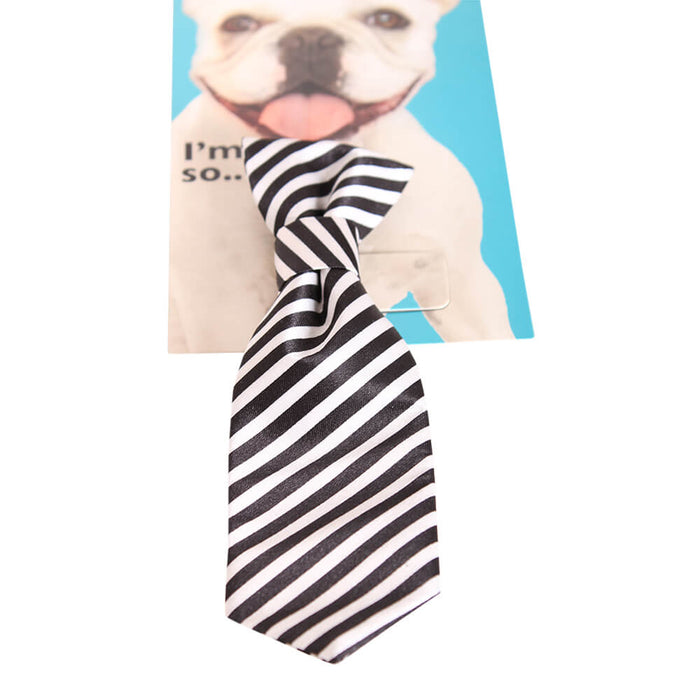 Pet Head I'm So Fly Black & White Stripe Tie - 020BH-PH10151 - Black - 4