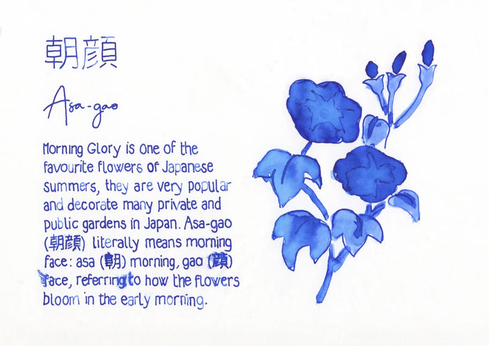 PILOT Iroshizuku asa-gao | 50 ml Bottled ink