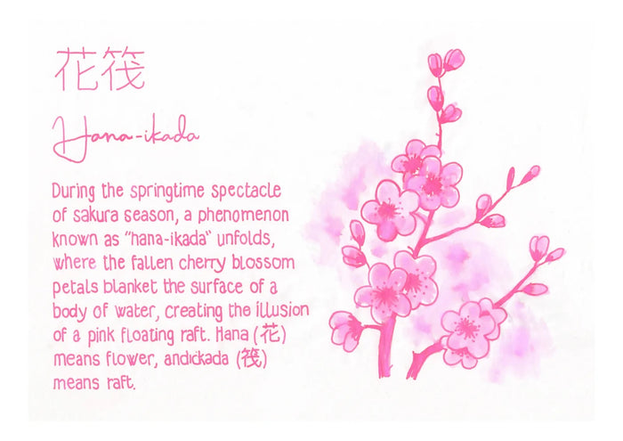 PILOT Iroshizuku hana-ikada | 50 ml Bottled ink