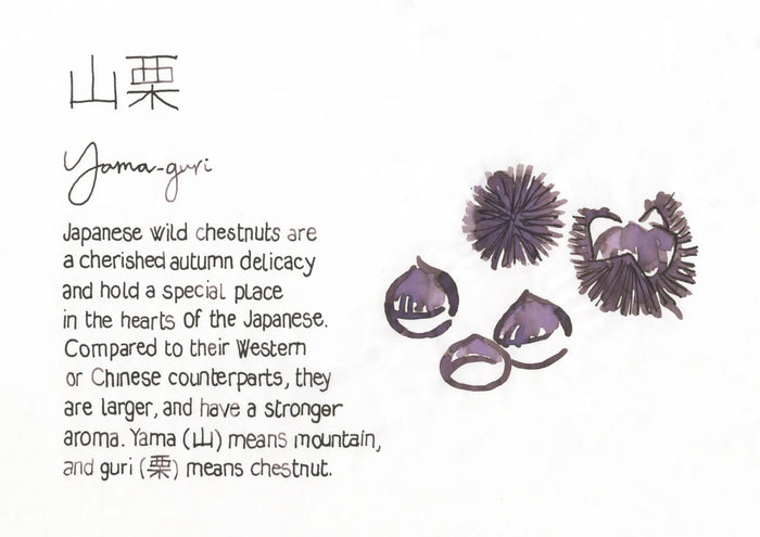 PILOT Iroshizuku yama-guri | 50 ml Bottled ink