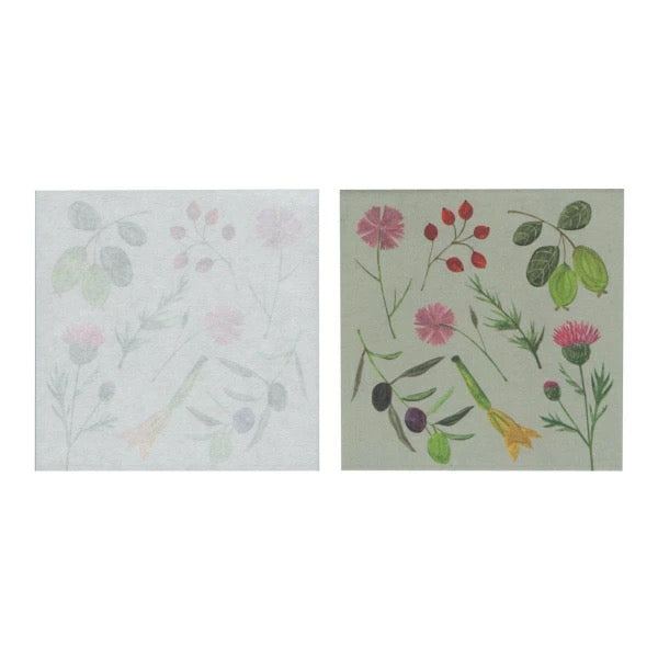 Plants Memo Pad by Aya Iwashima