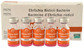Potomavac Horse Vaccine, box of 5 (5 Dose) - M0P1 - 5 Dose - 1