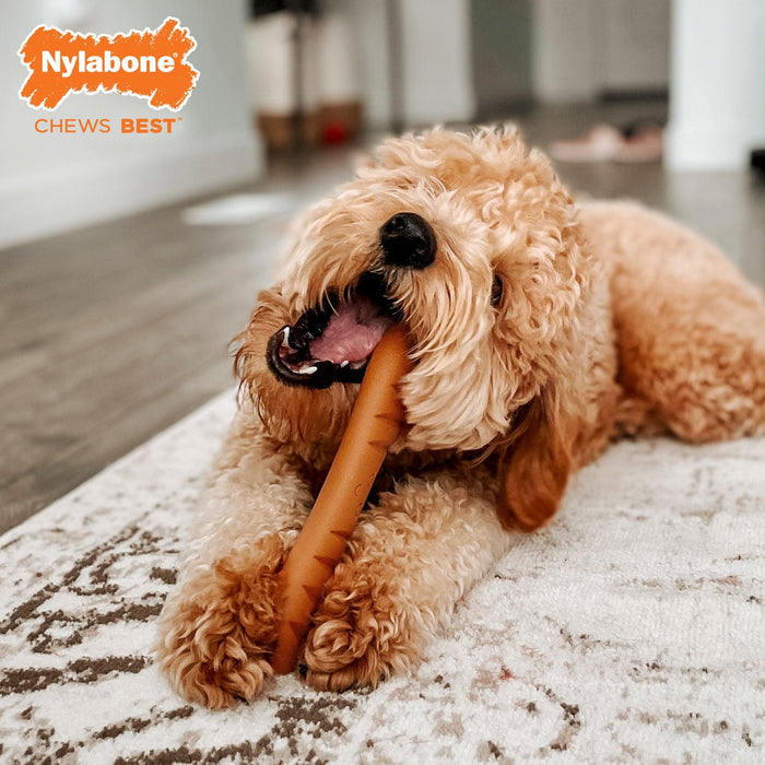 Power Chew Baguette, Chicken, Large/Giant, Up to 50 lbs - N9Z7 - Chicken - Large/Giant - 5
