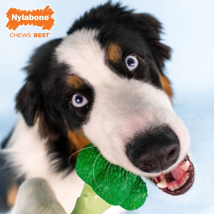 Power Chew Broccoli Dog Toy, Bacon & Cheese, Large/Giant, Up to 50 lbs - N9ZE - Bacon|Cheese - Large/Giant - 5