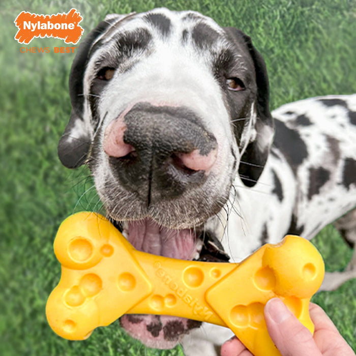 Power Chew Cheese Dog Toy, X - Large/Souper, 50+ lbs - N9ZF - Cheese - X - Large/Souper - 7