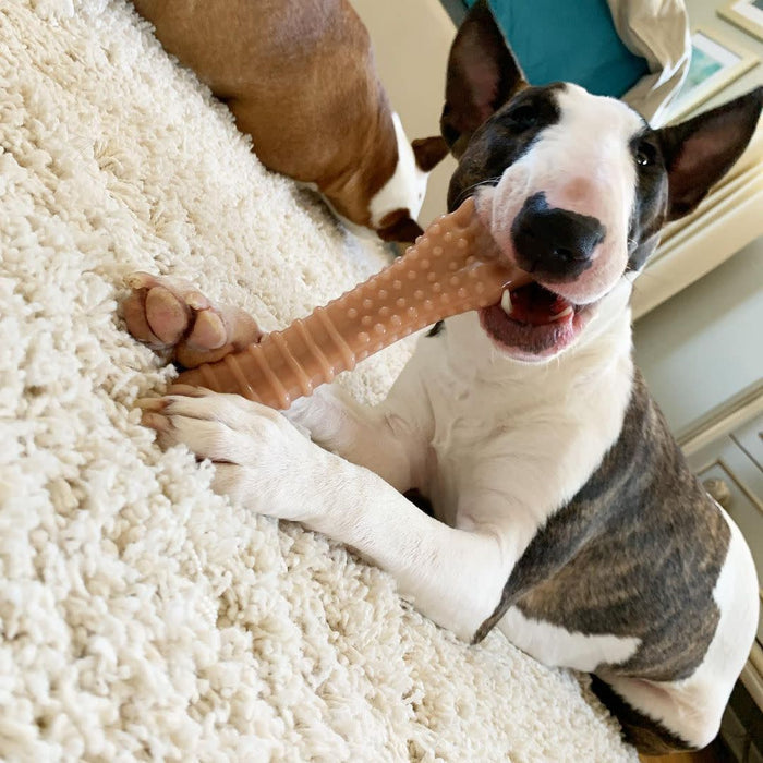 Power Chew Dog Toy, Bacon, X - Large/Souper, 50+ lbs - N9Z6 - Bacon - X - Large/Souper - 6