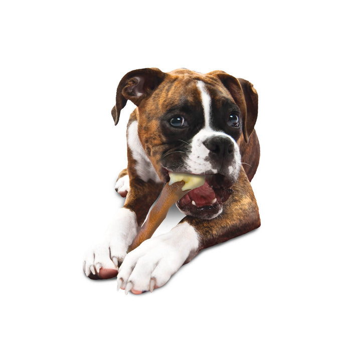 Power Chew Femur Dog Bone Alternative, Beef, Large/Giant, Up to 50 lbs. - N9ZP - Beef - Large/Giant - 5