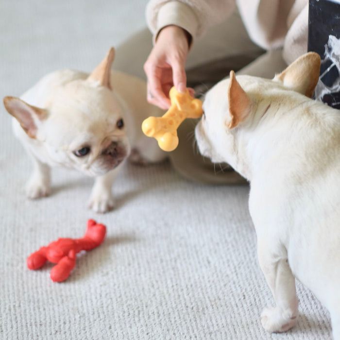 Power Chew Lobster Dog Toy, Filet Mignon - N9ZR - Medium/Wolf - 6