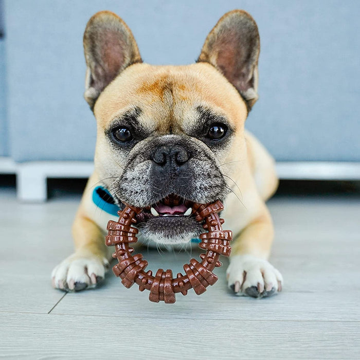 Power Chew Textured Dog Ring, Flavor Medley, Small/Regular, Up to 25 Ibs - N9ZG - Variety - Small/Regular - 5