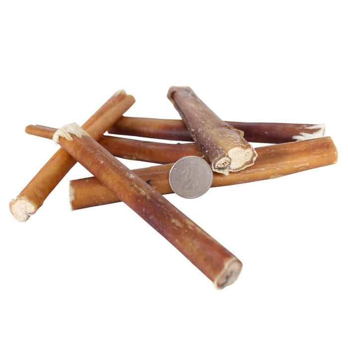 Premium All Natural Dog Pizzle Chews, 6" - 031CW6-PZ12 - 12pk - 7